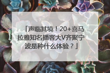 声临其境！20+喜马拉雅知名播客大V齐聚宁波是种什么体验？