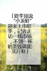 夏季顶流“小龙虾”迎来上市旺季,记者走访一线市场,不到一杯奶茶钱就能买斤虾
