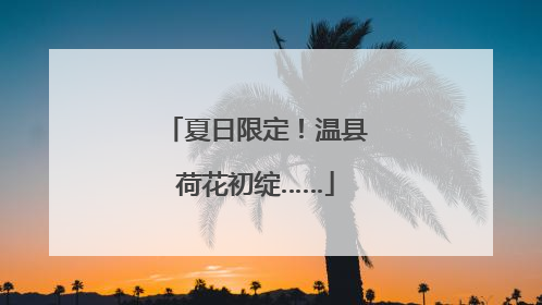 夏日限定！温县荷花初绽……