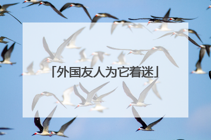 外国友人为它着迷
