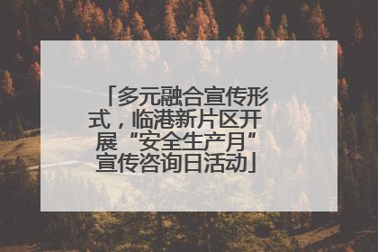 多元融合宣传形式，临港新片区开展“安全生产月”宣传咨询日活动
