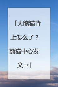 大熊猫背上怎么了？熊猫中心发文→