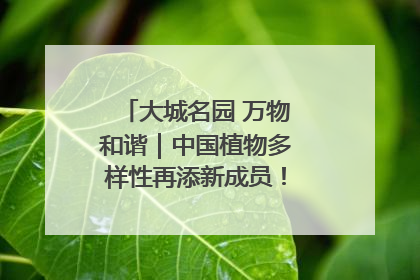 大城名园 万物和谐｜中国植物多样性再添新成员！它只在西藏墨脱