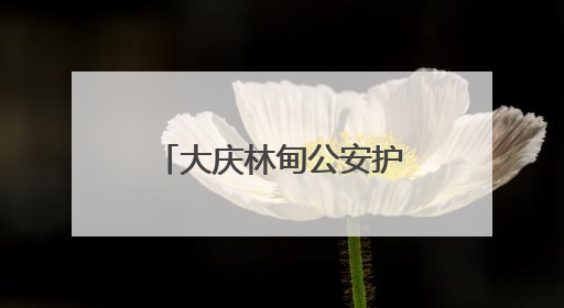 大庆林甸公安护航升级 反诈宣传“警”相随