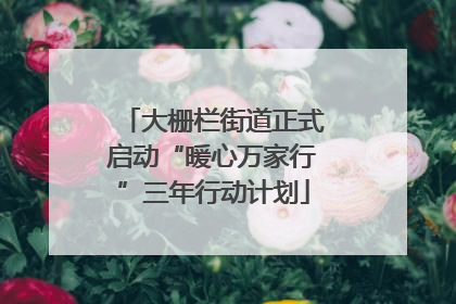大栅栏街道正式启动“暖心万家行”三年行动计划