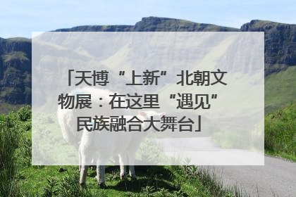 天博“上新”北朝文物展：在这里“遇见”民族融合大舞台