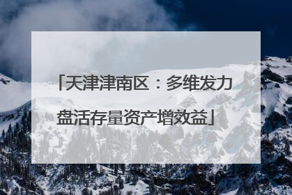 天津津南区：多维发力盘活存量资产增效益