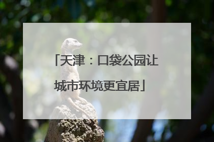 天津：口袋公园让城市环境更宜居