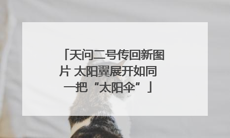 天问二号传回新图片 太阳翼展开如同一把“太阳伞”