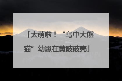 太萌啦！“鸟中大熊猫”幼崽在黄陂破壳