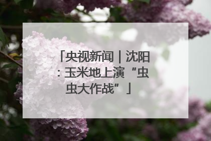 央视新闻｜沈阳：玉米地上演“虫虫大作战”