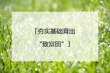 夯实基础育出“致富田”
