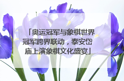 奥运冠军与象棋世界冠军跨界联动，泰安岱庙上演象棋文化盛宴