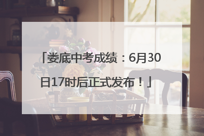 娄底中考成绩：6月30日17时后正式发布！