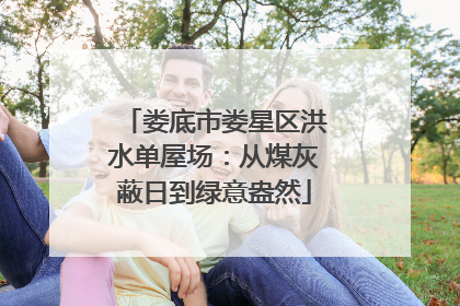 娄底市娄星区洪水单屋场：从煤灰蔽日到绿意盎然