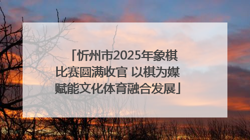 忻州市2025年象棋比赛圆满收官 以棋为媒赋能文化体育融合发展
