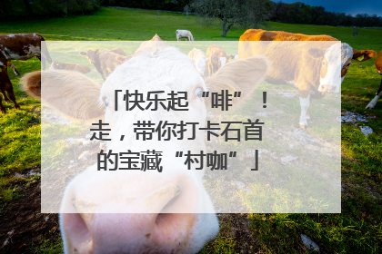 快乐起“啡”！走，带你打卡石首的宝藏“村咖”