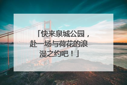 快来泉城公园，赴一场与荷花的浪漫之约吧！