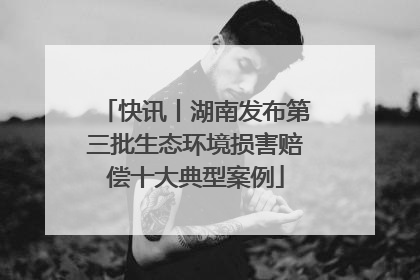 快讯丨湖南发布第三批生态环境损害赔偿十大典型案例