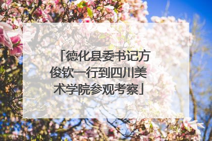 德化县委书记方俊钦一行到四川美术学院参观考察