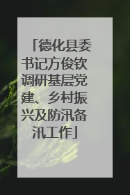德化县委书记方俊钦调研基层党建、乡村振兴及防汛备汛工作