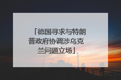 德国寻求与特朗普政府协调涉乌克兰问题立场