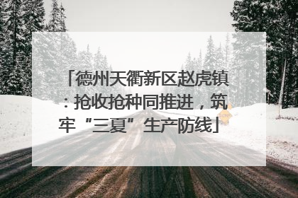 德州天衢新区赵虎镇：抢收抢种同推进，筑牢“三夏”生产防线