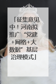 征集意见中！河南拟推广“党建+网格+大数据”基层治理模式
