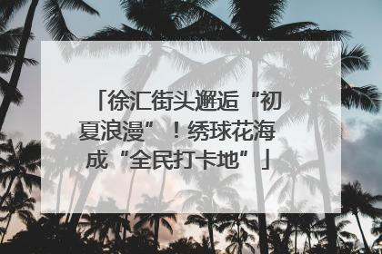徐汇街头邂逅“初夏浪漫”！绣球花海成“全民打卡地”