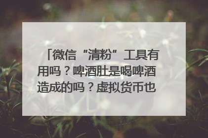 微信“清粉”工具有用吗？啤酒肚是喝啤酒造成的吗？虚拟货币也会遭遇黑客入侵的风险吗？| 万问万答