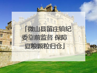 微山县留庄镇纪委靠前监督 保障夏粮颗粒归仓