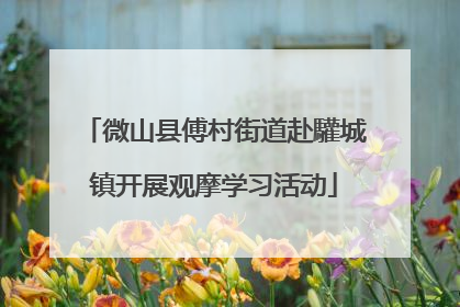 微山县傅村街道赴驩城镇开展观摩学习活动