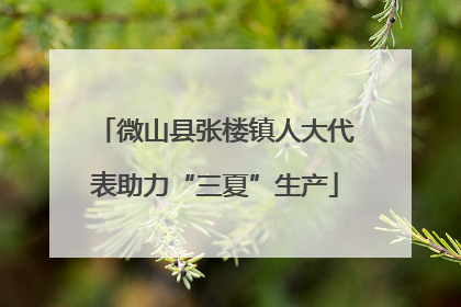 微山县张楼镇人大代表助力“三夏”生产