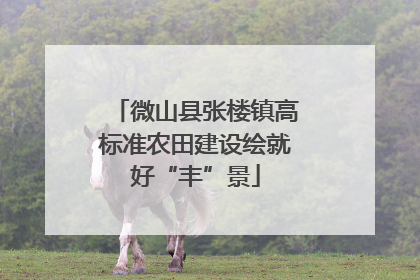 微山县张楼镇高标准农田建设绘就好“丰”景