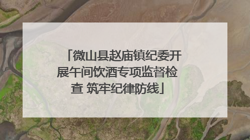 微山县赵庙镇纪委开展午间饮酒专项监督检查 筑牢纪律防线