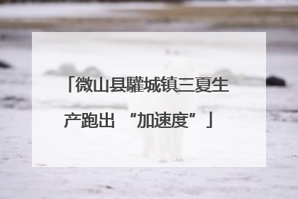 微山县驩城镇三夏生产跑出 “加速度”