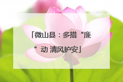 微山县：多措“廉”动 清风护安