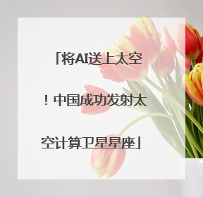 将AI送上太空！中国成功发射太空计算卫星星座