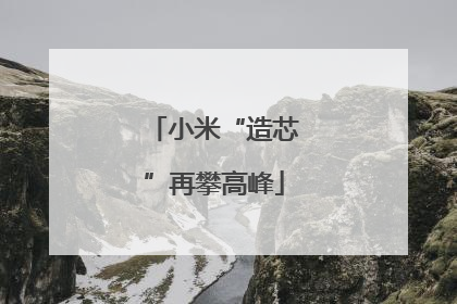 小米“造芯”再攀高峰