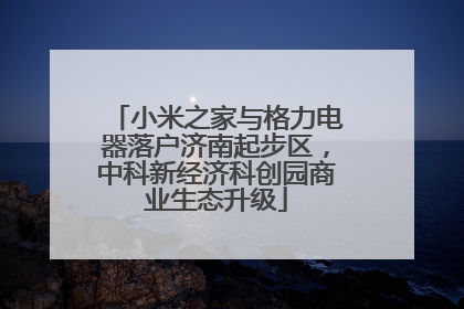 小米之家与格力电器落户济南起步区，中科新经济科创园商业生态升级