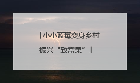小小蓝莓变身乡村振兴“致富果”