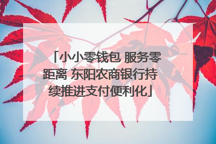 小小零钱包 服务零距离 东阳农商银行持续推进支付便利化