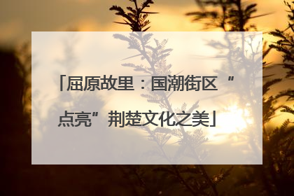 屈原故里：国潮街区“点亮”荆楚文化之美