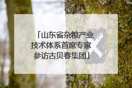 山东省杂粮产业技术体系首席专家参访古贝春集团