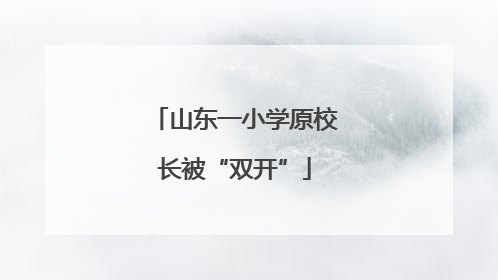 山东一小学原校长被“双开”