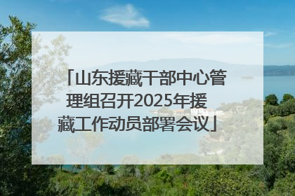 山东援藏干部中心管理组召开2025年援藏工作动员部署会议