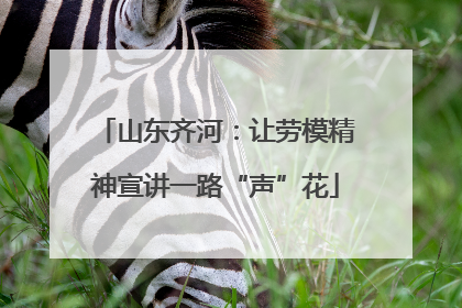 山东齐河：让劳模精神宣讲一路“声”花