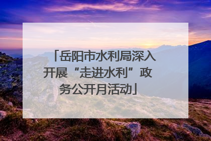 岳阳市水利局深入开展“走进水利”政务公开月活动