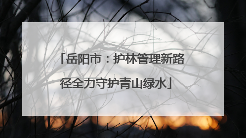 岳阳市：护林管理新路径全力守护青山绿水