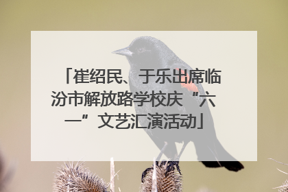 崔绍民、于乐出席临汾市解放路学校庆“六一”文艺汇演活动